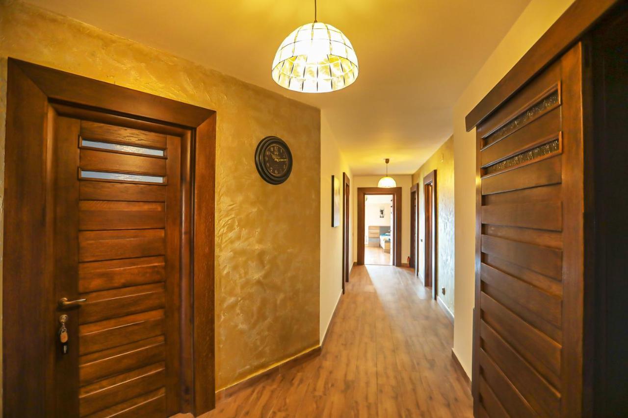 Transilvania Mansion 브라쇼브 외부 사진