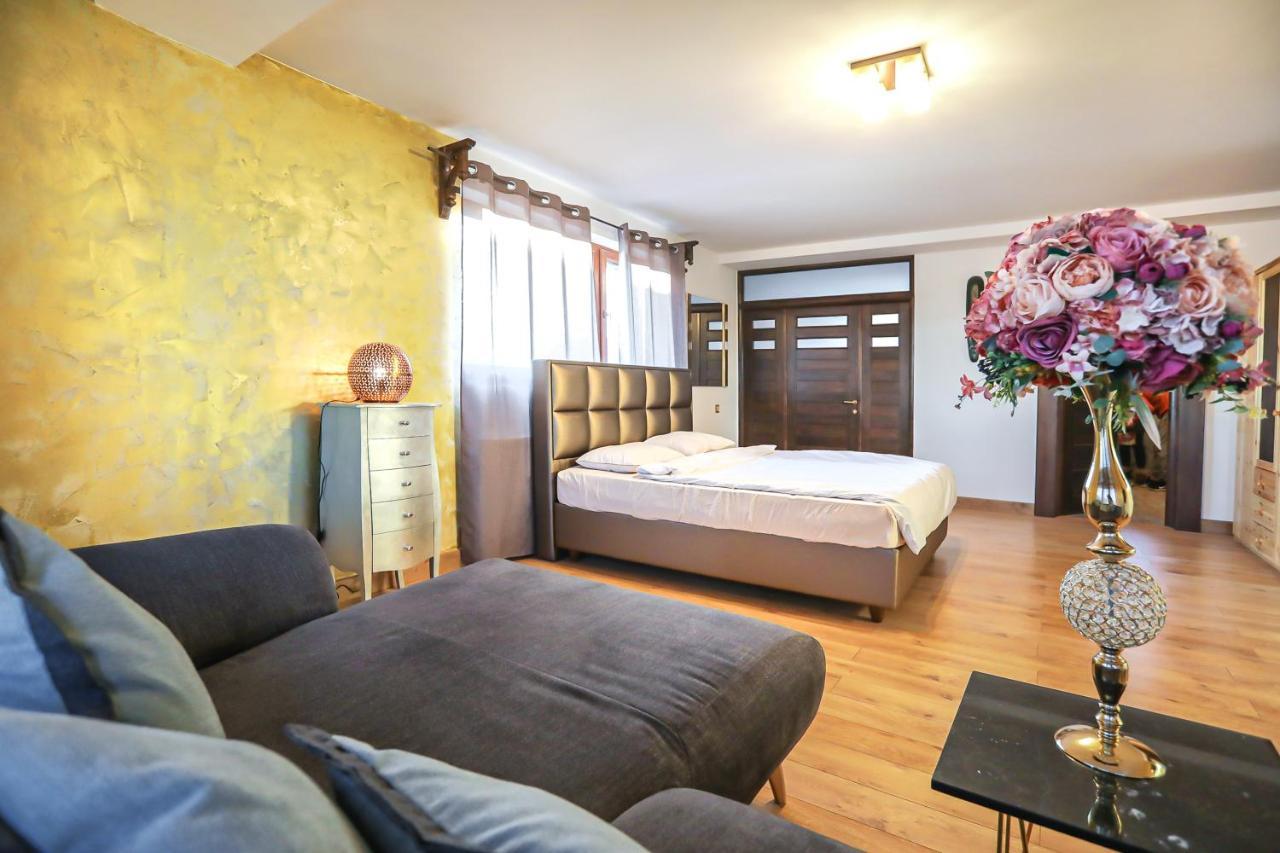 Transilvania Mansion 브라쇼브 외부 사진