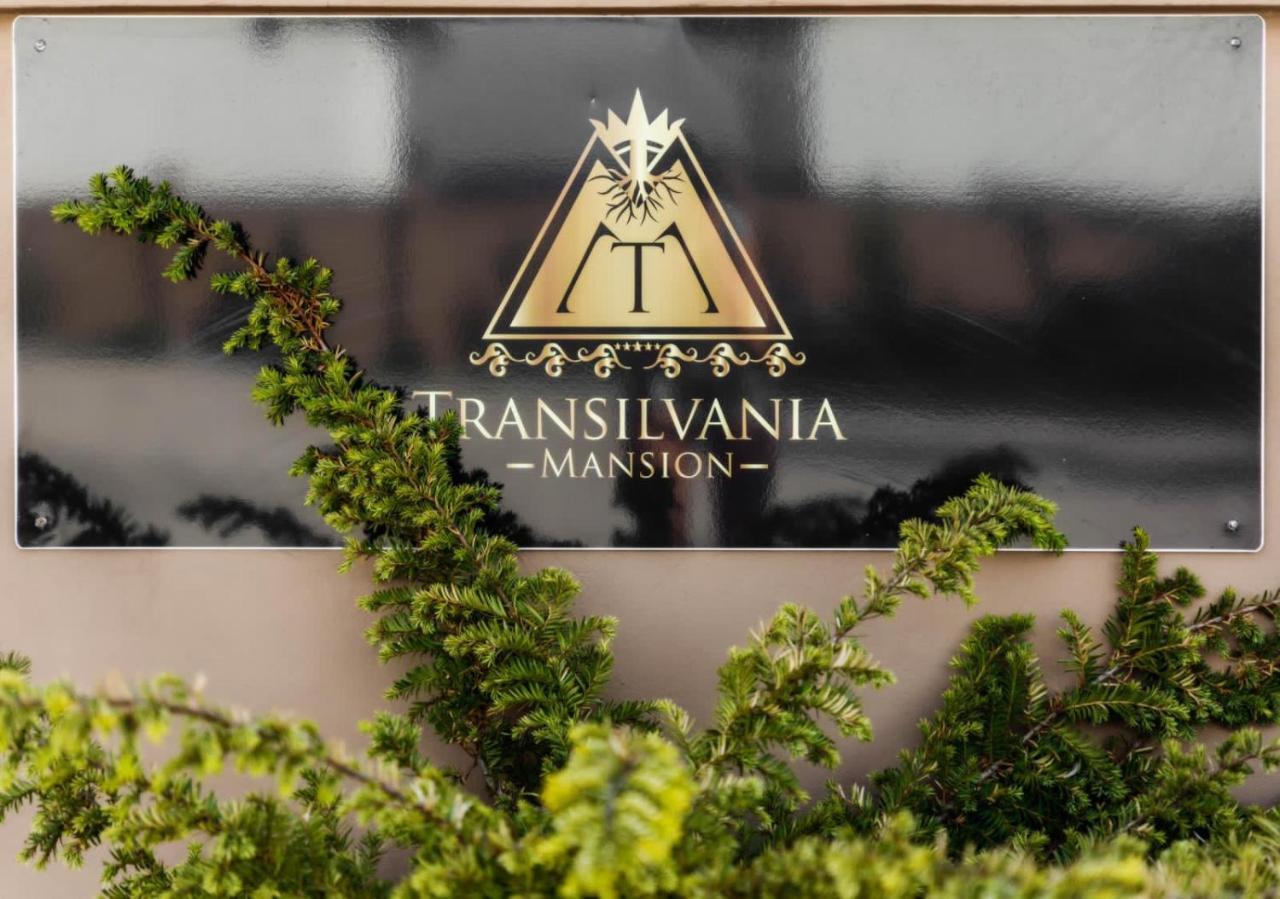 Transilvania Mansion 브라쇼브 외부 사진