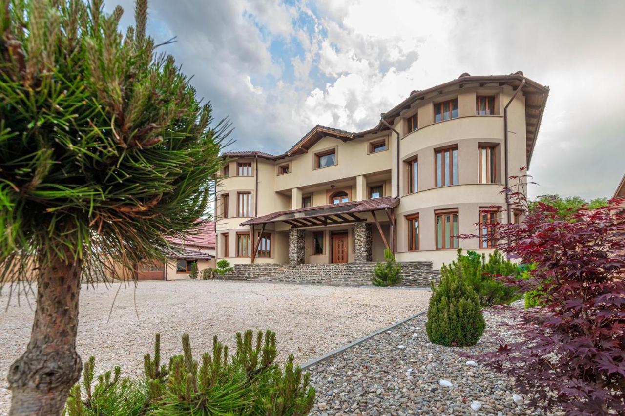 Transilvania Mansion 브라쇼브 외부 사진